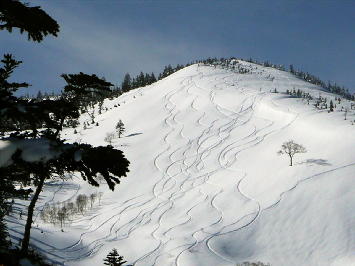 Kagura White Horse Inn ยูซาว่า ภายนอก รูปภาพ